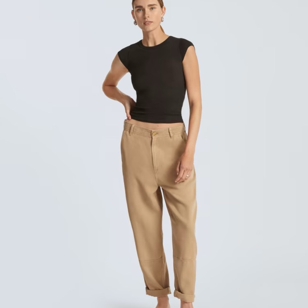 Everlane Tencel Relaxed Chino